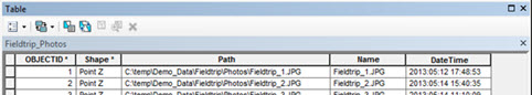 ArcGIS attribute table