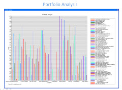 CNS Portfolio Analysis