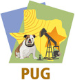 Esri PUG logo