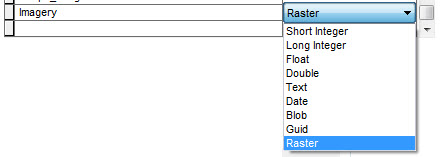 Select Raster data type